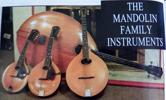 The  Mandolin Family of Instruments